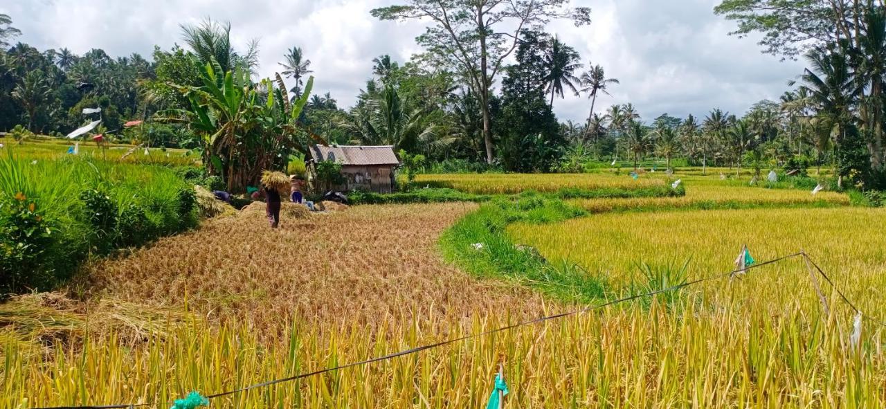 Rindu Homestay Undisan Esterno foto